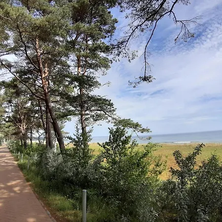 Modern Near Marina * Sellin (Rugen)